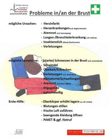 Probleme in/an der Brust